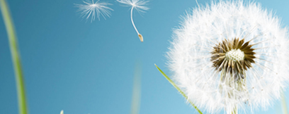 山東煙起起重設(shè)備有限公司簡介